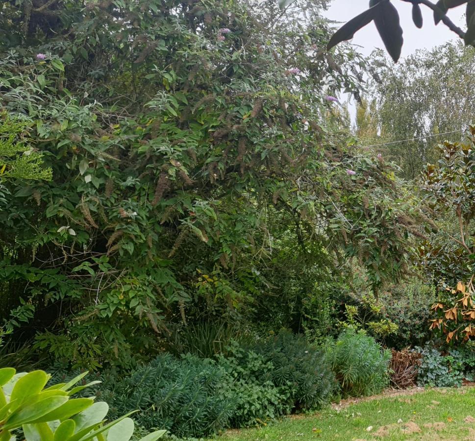 Windhaven Bed & Breakfast Duntroon Экстерьер фото